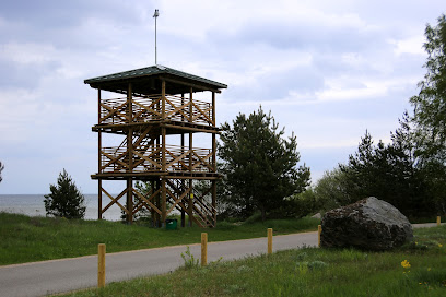 Putnu vērošanas tornis