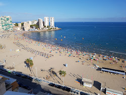Photo de Playa de la Concha avec baie spacieuse