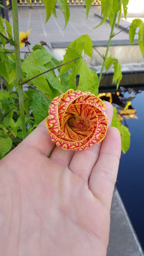 Botanical Garden «Olbrich Botanical Gardens», reviews and photos, 3330 Atwood Ave, Madison, WI 53704, USA