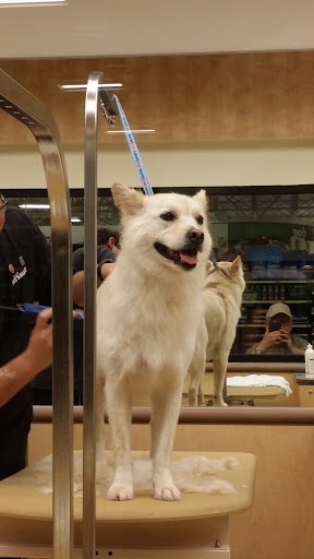 Pet Supply Store «PetSmart», reviews and photos, 2200 E Lohman Ave, Las Cruces, NM 88001, USA