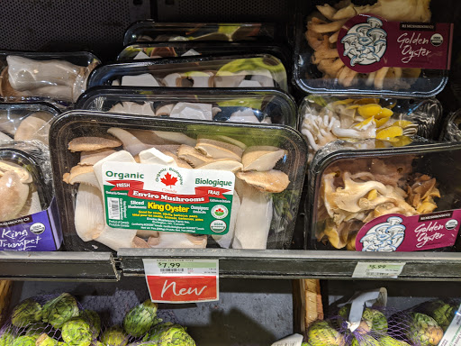 Grocery Store «The Fresh Market», reviews and photos, 3060 Center Valley Pkwy, Center Valley, PA 18034, USA