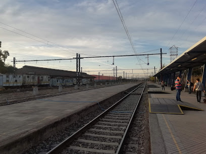 Terminal Curico