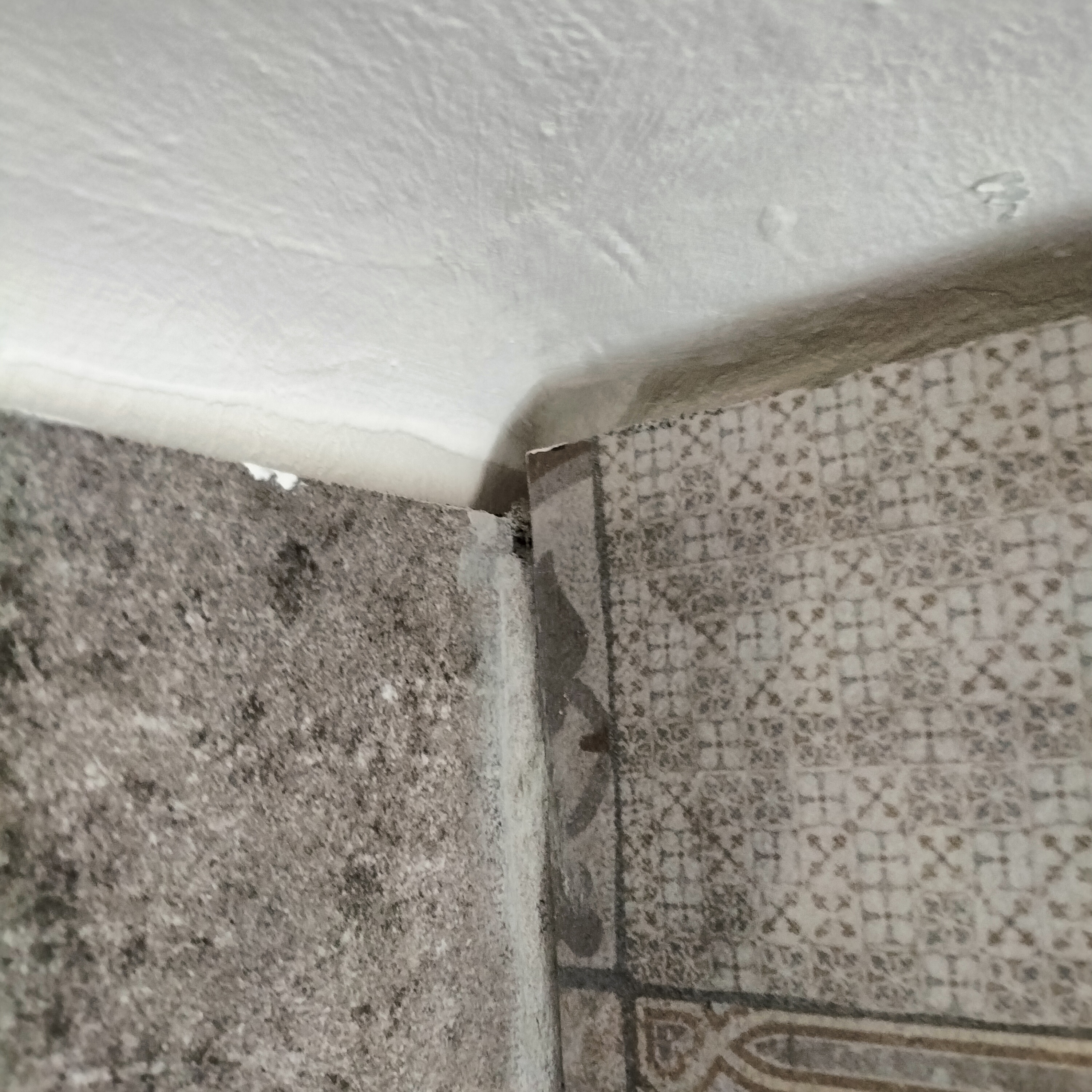 Photo n° 3 de l'avis de gilles.o fait le 23/03/2024 à 15:15
