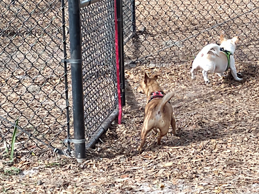 Dog Park «Arbor Dog Park», reviews and photos, 1405 N Grant St, Longwood, FL 32750, USA