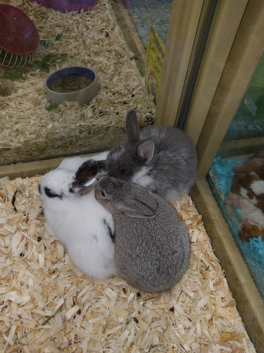 Pet Supply Store «Pet Supermarket», reviews and photos, 7805 Abercorn St, Savannah, GA 31406, USA