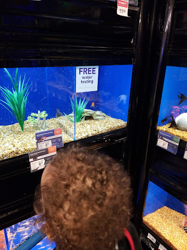 Shopping Mall «Northgate Mall Tullahoma», reviews and photos, 1600 N Jackson St, Tullahoma, TN 37388, USA