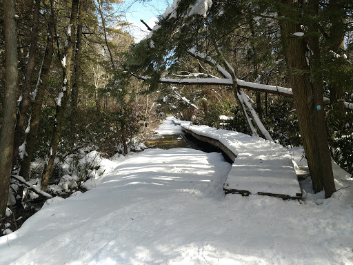 Ski Resort «High Point Cross Country Ski Center», reviews and photos, 1480 NJ-23, Sussex, NJ 07461, USA