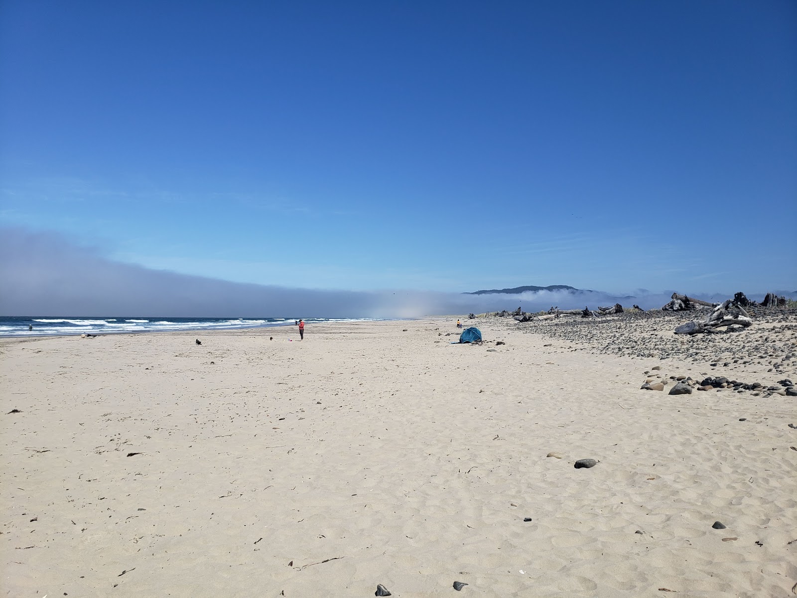 Foto von Cape Meares Beach mit langer gerader strand