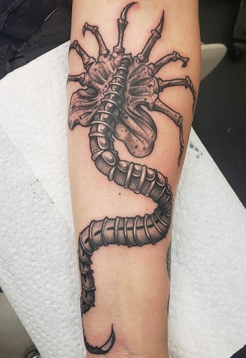 Body Piercing Shop «Skin Gallery Tattooing & Body Piercing», reviews and photos, 1402 Ogden Ave, Downers Grove, IL 60515, USA