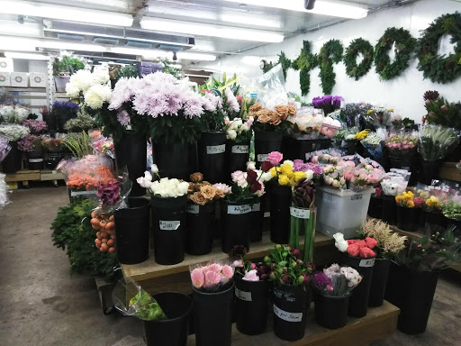 Florist «San Antonio Flower Co», reviews and photos, 7538 Broadway St, San Antonio, TX 78209, USA