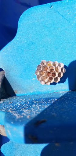 Recreation Center «Rakow Center», reviews and photos, 665 Barrington Ave, Carpentersville, IL 60110, USA