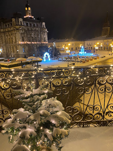 Comentarii opinii despre Ohana Czuła Przestrzeń - Studio Świadomego Rozwoju