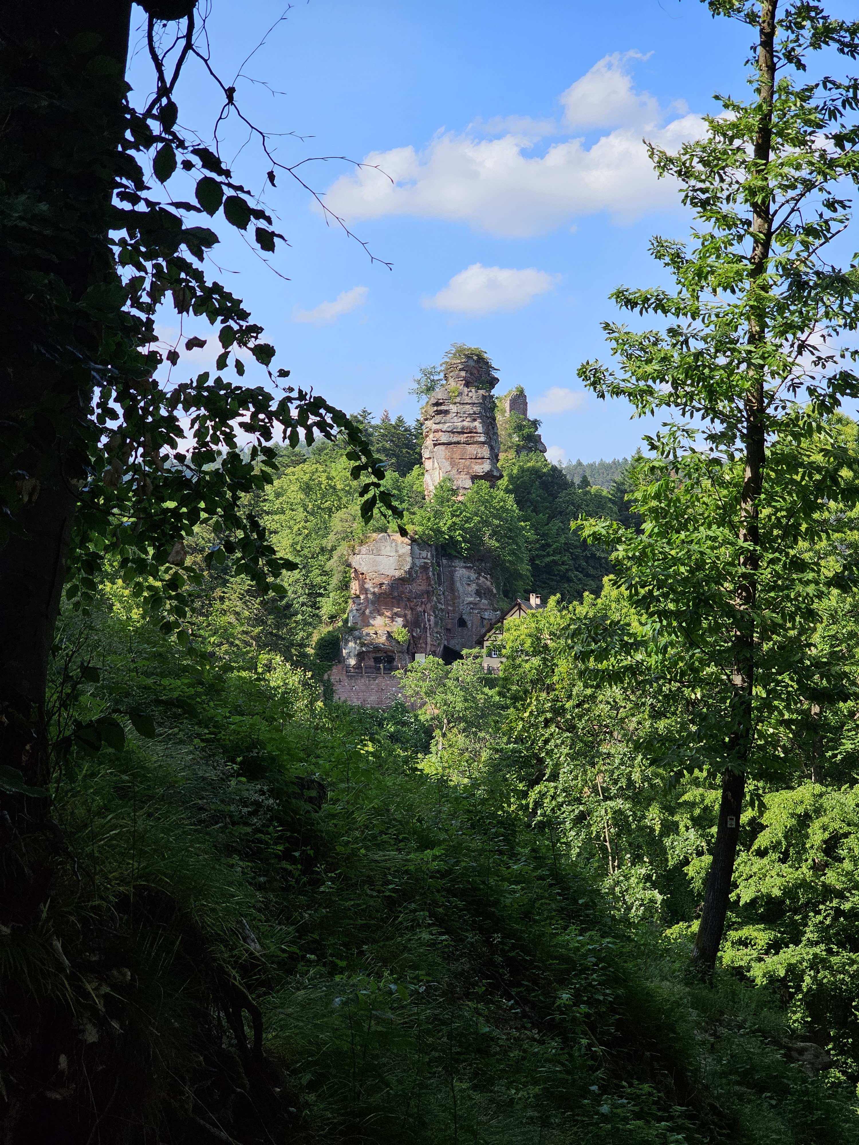 Photo n° 1 de l'avis de R.s fait le 06/06/2023 à 19:04