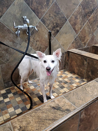 Pet Supply Store «Pet Valu», reviews and photos, 150 Main St, Lodi, NJ 07644, USA