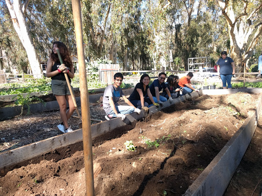 Roger's Community Garden