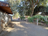 Vista Ranch Farming Area - Photo 7 - Car repair in Merced, CA, Merced