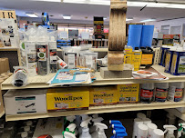 Regal Paint Centers – A Benjamin Moore Store - Photo 8 - Car repair in Frederick, MD, Frederick