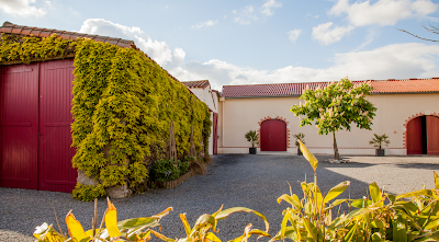 Domaine Salmon à Château-Thébaud