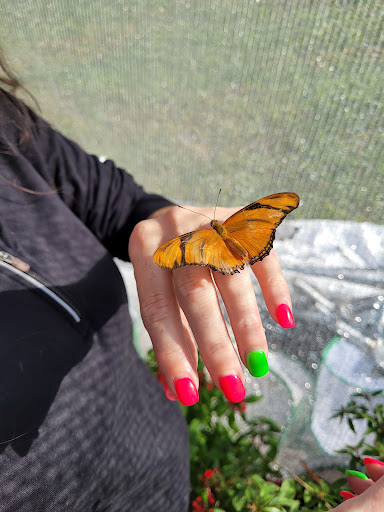 Tourist Attraction «Partin Ranch Corn Maze», reviews and photos, 5601 N Canoe Creek Rd, Kenansville, FL 34739, USA