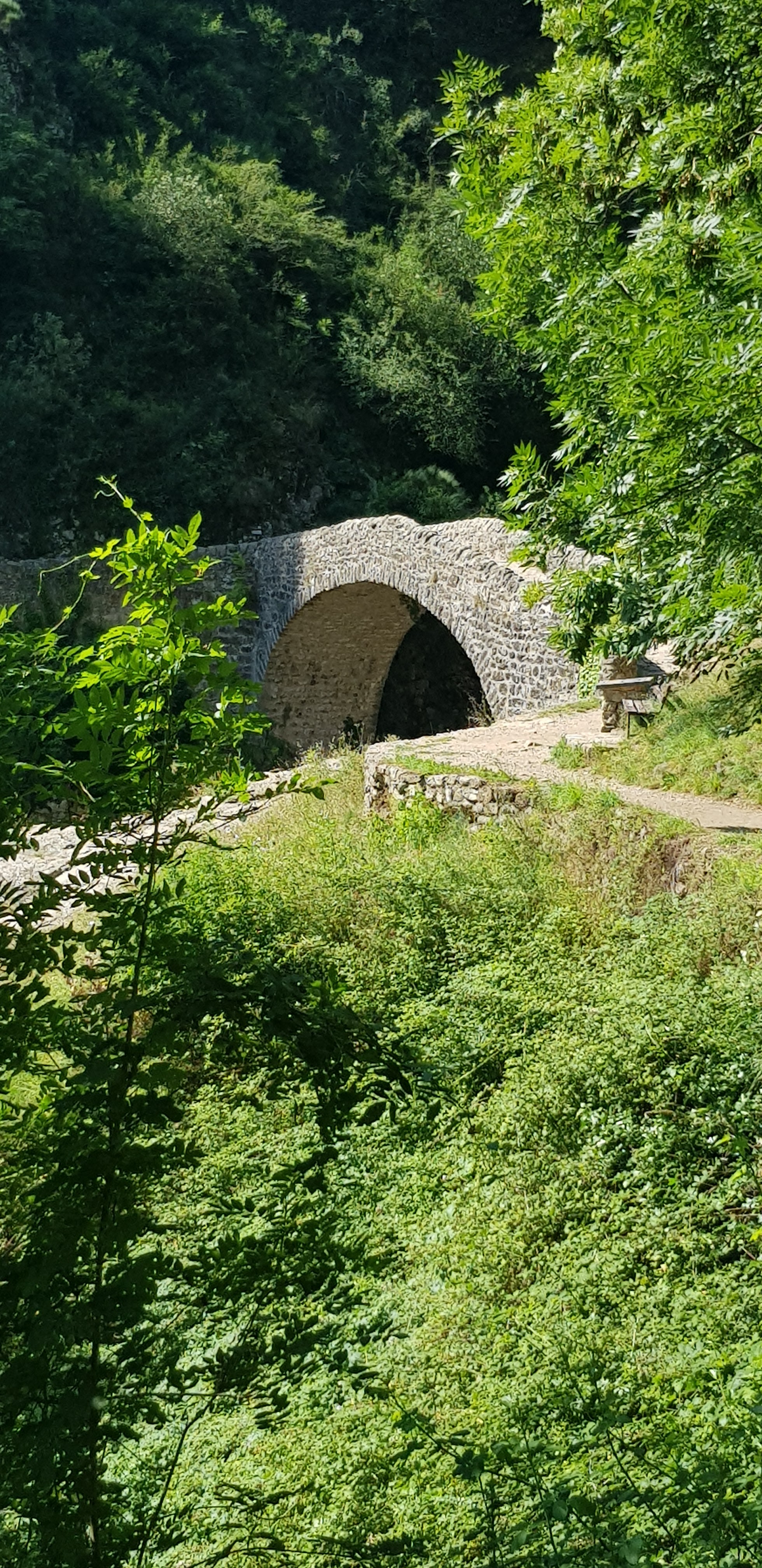 Photo n° 3 de l'avis de Decossin.o fait le 09/07/2023 à 18:28