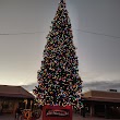 Largest Christmas Tree