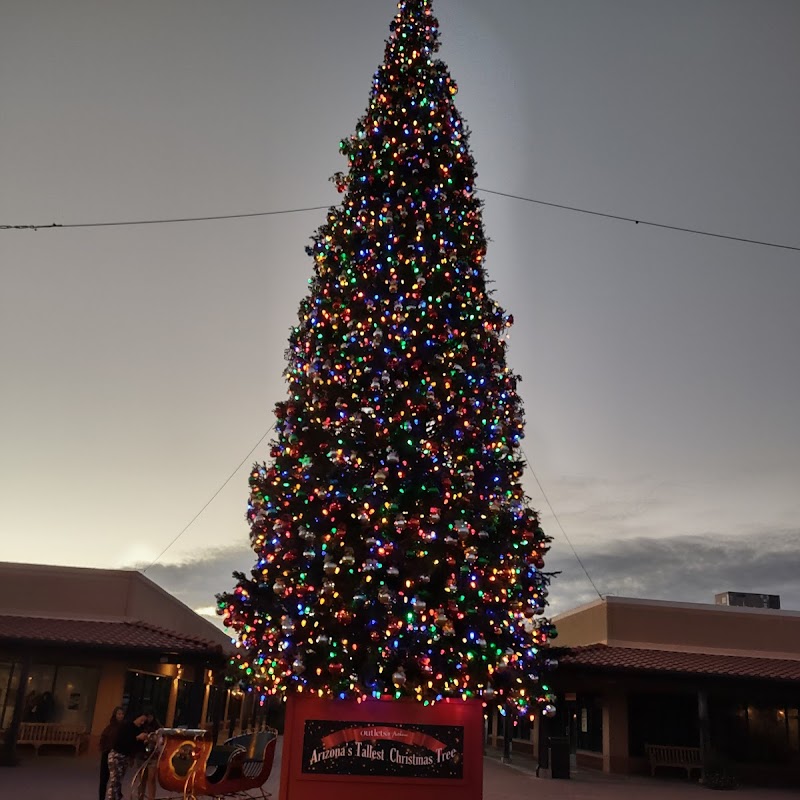 Largest Christmas Tree