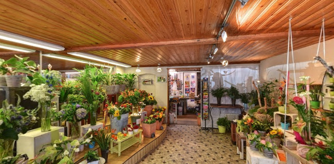 Rezensionen über Au Petit Paradis in Yverdon-les-Bains - Blumengeschäft