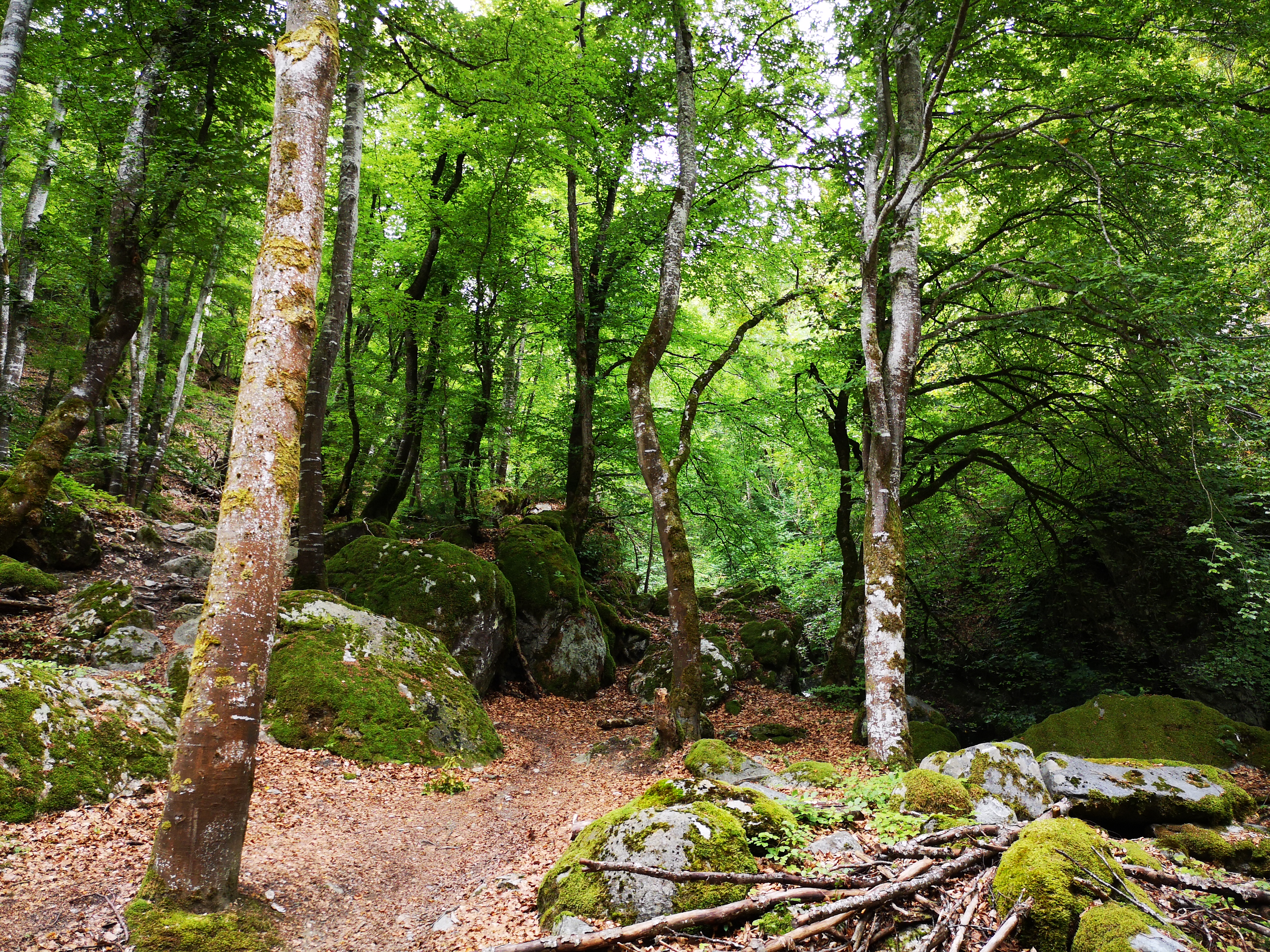 Photo n° 1 de l'avis de Laurastar. fait le 16/09/2018 à 08:32