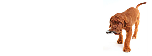 Electronics Repair Shop «Gadget Fix», reviews and photos, 520 Lenora St, Seattle, WA 98121, USA