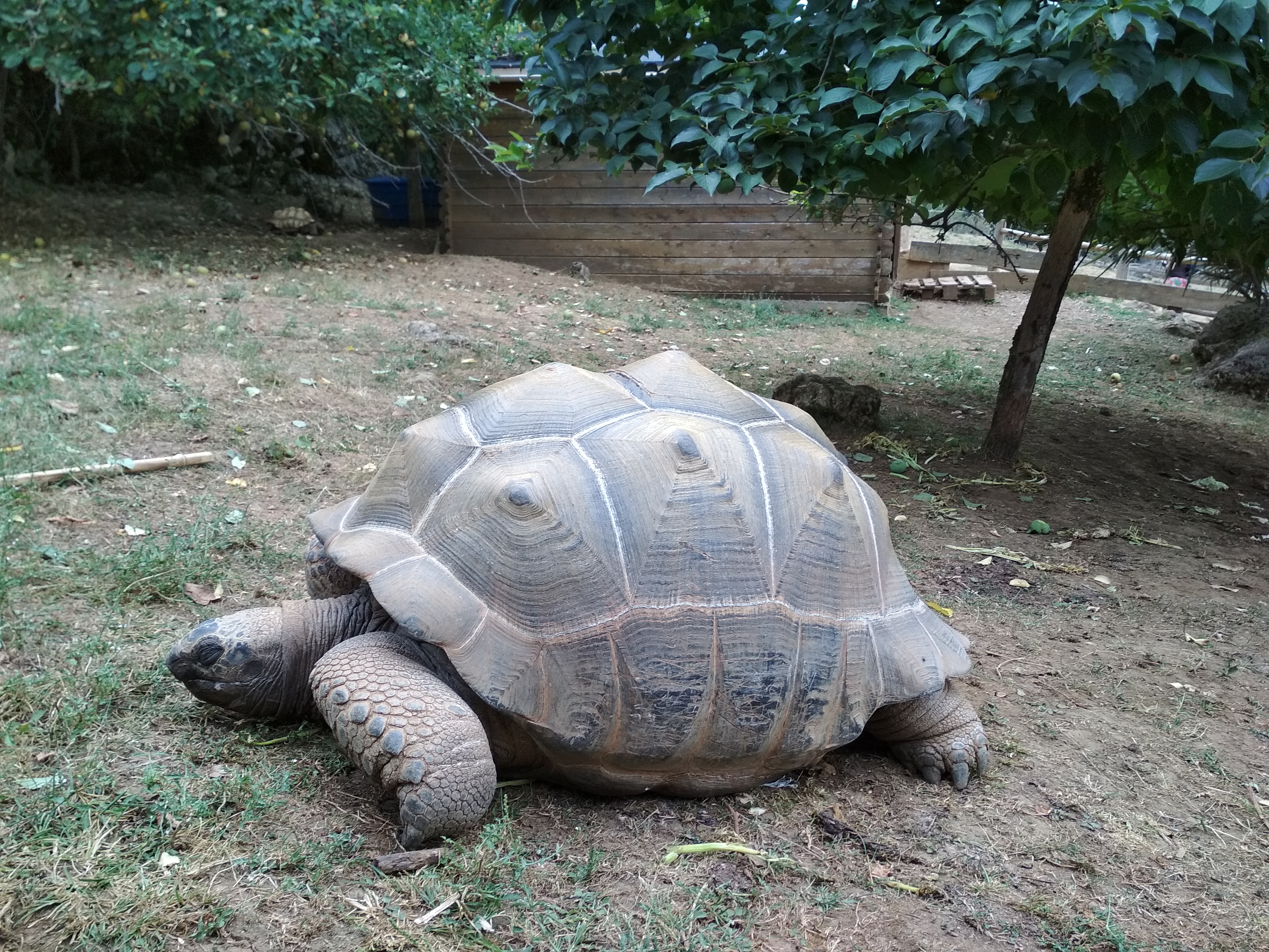 Photo n° 7 de l'avis de GpsGirl.r fait le 22/08/2020 à 12:49