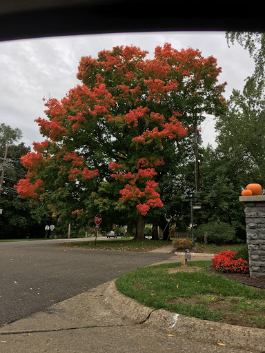 Beauty Salon «Figo Salon», reviews and photos, 265 N Old Woodward Ave, Birmingham, MI 48009, USA