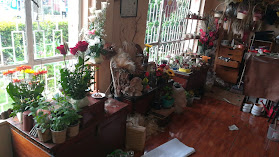 Florería Jireh