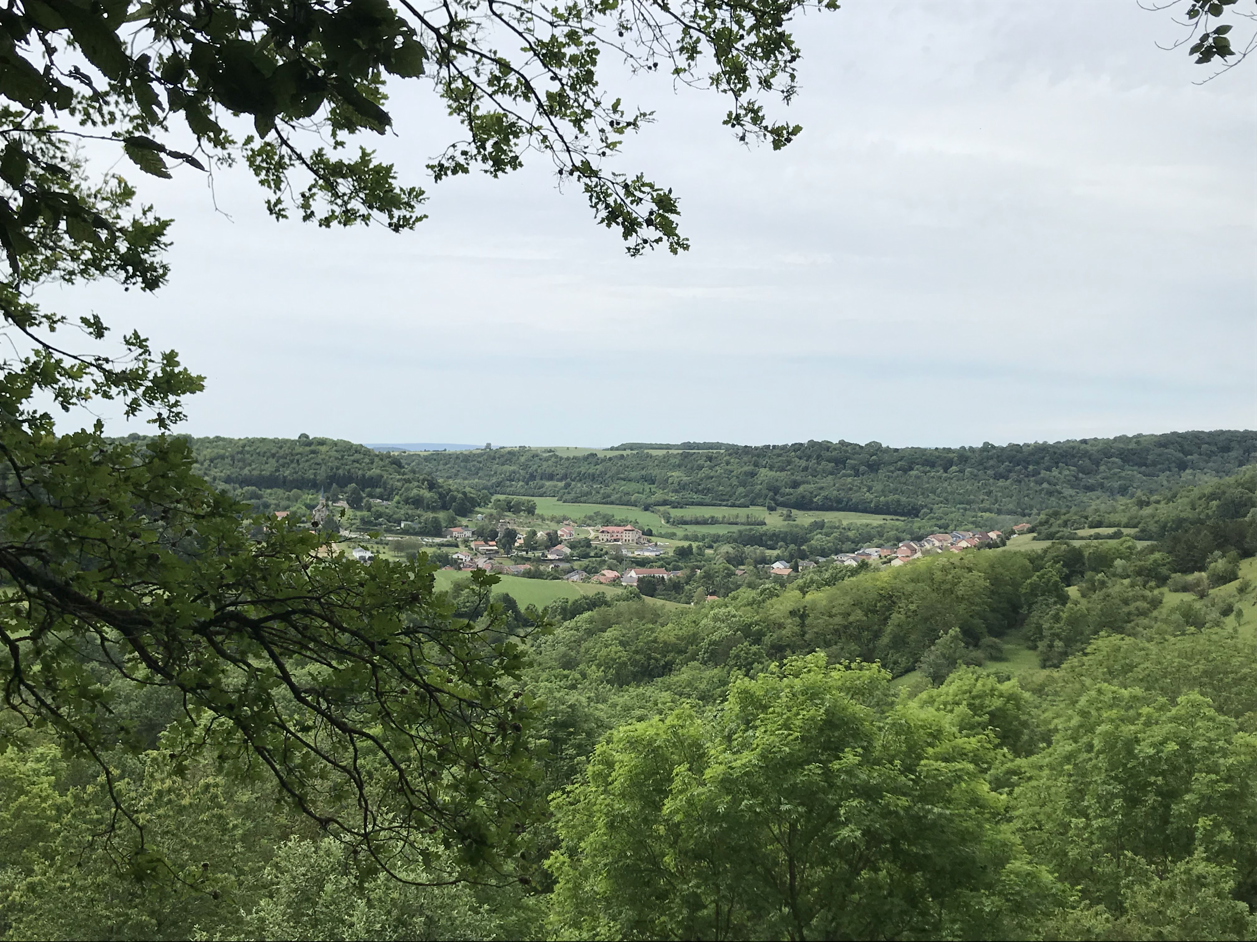Photo n° 16 de l'avis de Philippe.e fait le 19/06/2019 à 09:25
