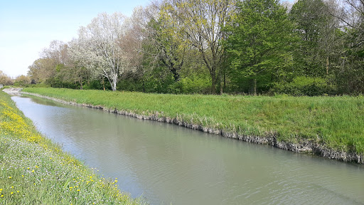 Bosco dell'Osellino