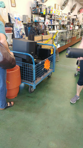 Discount Store «Twice As Nice Discount Store», reviews and photos, 1204 Mission St, Santa Cruz, CA 95060, USA