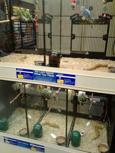 Pet Supply Store «PetSmart», reviews and photos, 12741 Towne Center Dr, Cerritos, CA 90703, USA