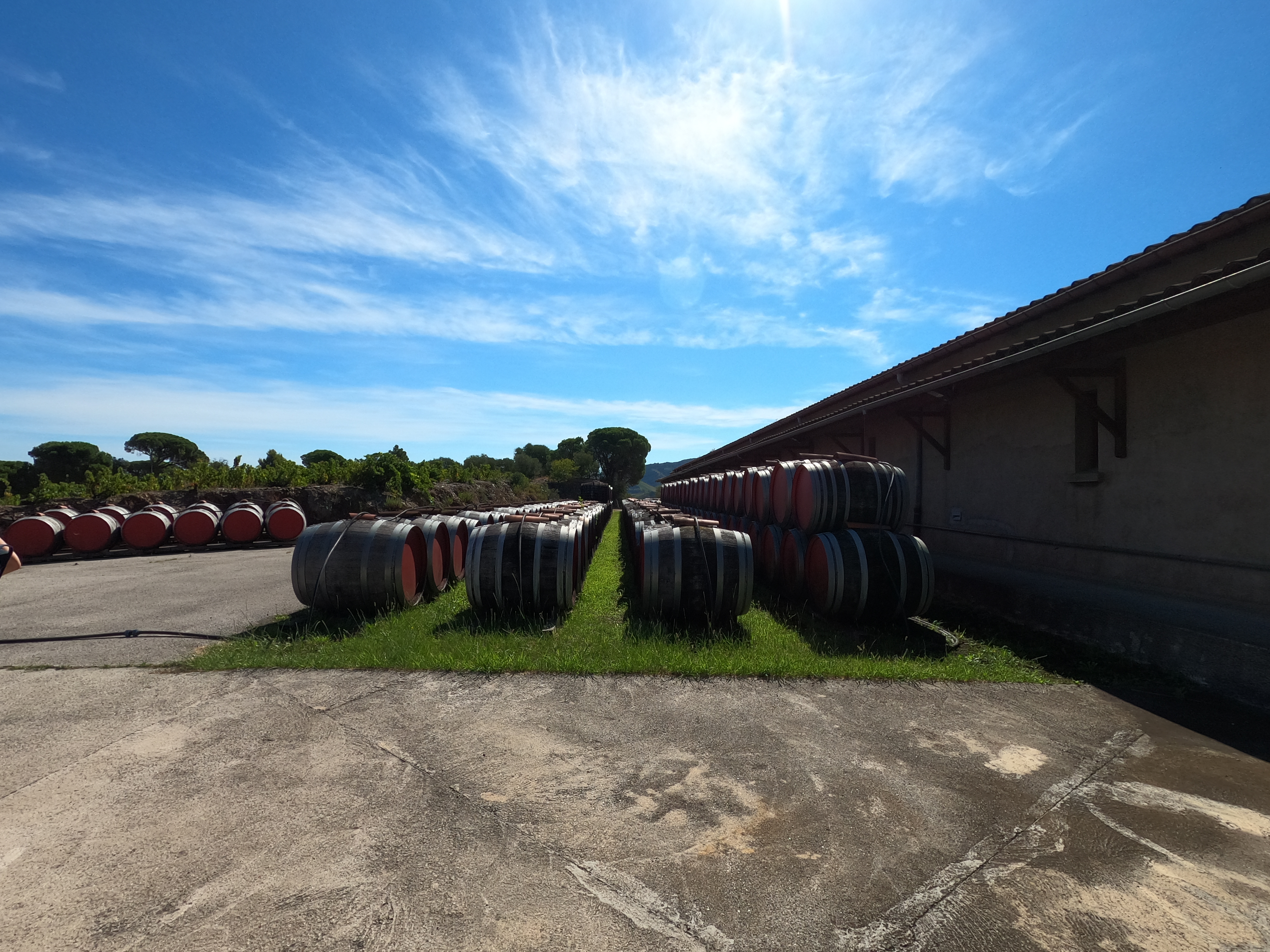 Photo n° 13 de l'avis de Coralie.r fait le 19/08/2020 à 22:06