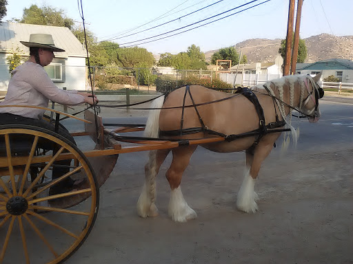 Horse trainer Pomona