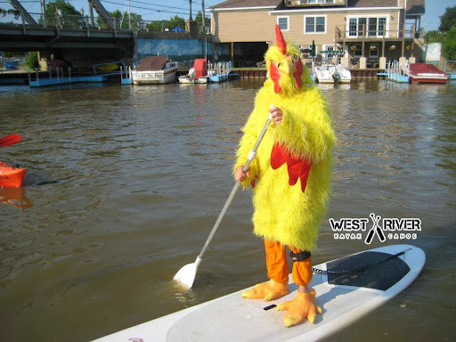 Canoe & Kayak Store «West River Paddle Sports», reviews and photos, 655 W River Rd, Vermilion, OH 44089, USA