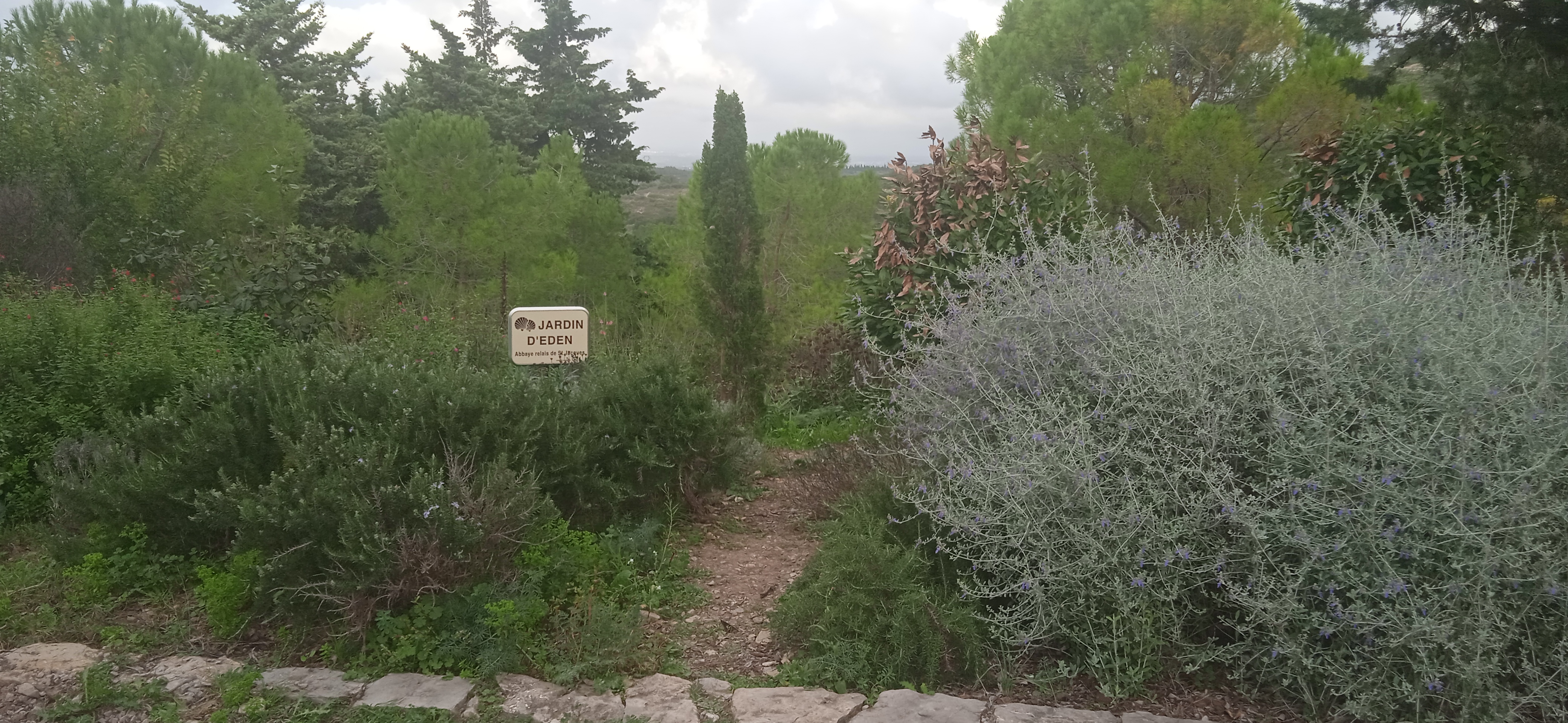 Photo n° 9 de l'avis de cebora.E fait le 30/10/2022 à 15:23