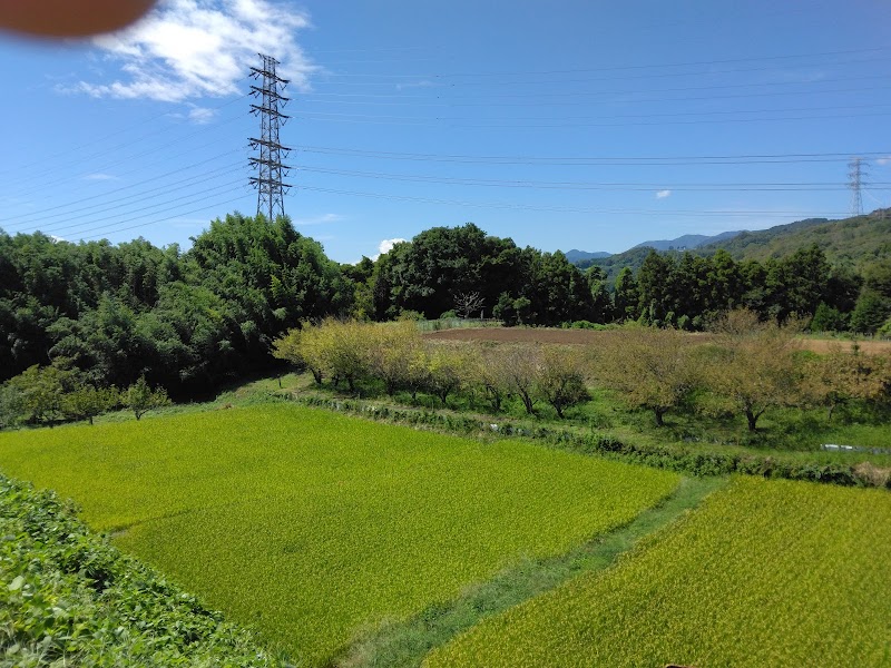 波多野城跡