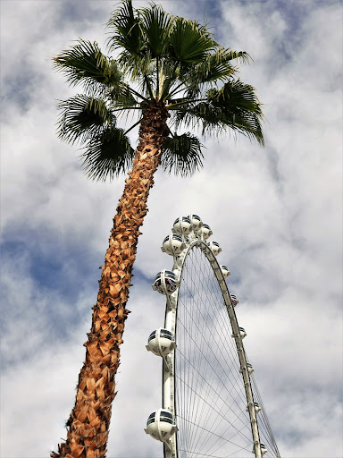 Tourist Attraction «High Roller», reviews and photos, 3545 S Las Vegas Blvd, Las Vegas, NV 89109, USA