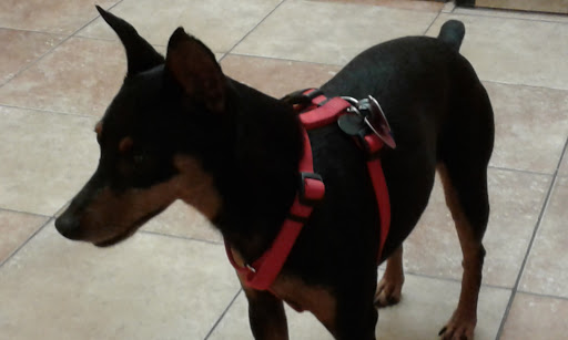 Pet Supply Store «PetSmart», reviews and photos, 278 New Britain Ave, Plainville, CT 06062, USA