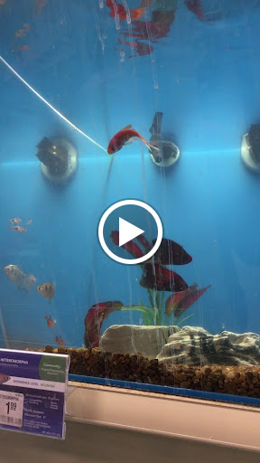 Pet Supply Store «PetSmart», reviews and photos, 2028 Miamisburg Centerville Rd, Dayton, OH 45459, USA