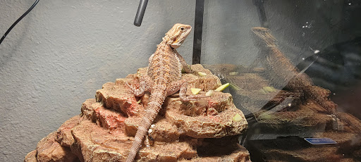 Pet Store «Pet Time», reviews and photos, 3141 W 11th Ave, Eugene, OR 97402, USA