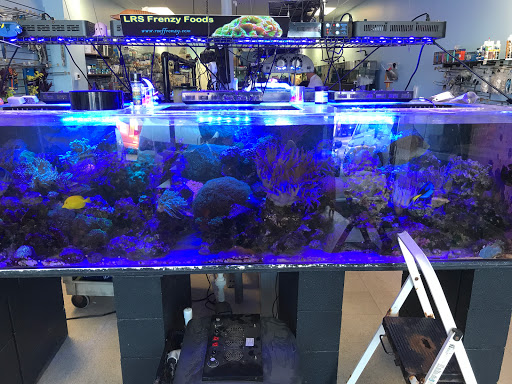 Aquarium «Aquarium Specialties & Research Center», reviews and photos, 235 Lancaster Ave, Malvern, PA 19355, USA