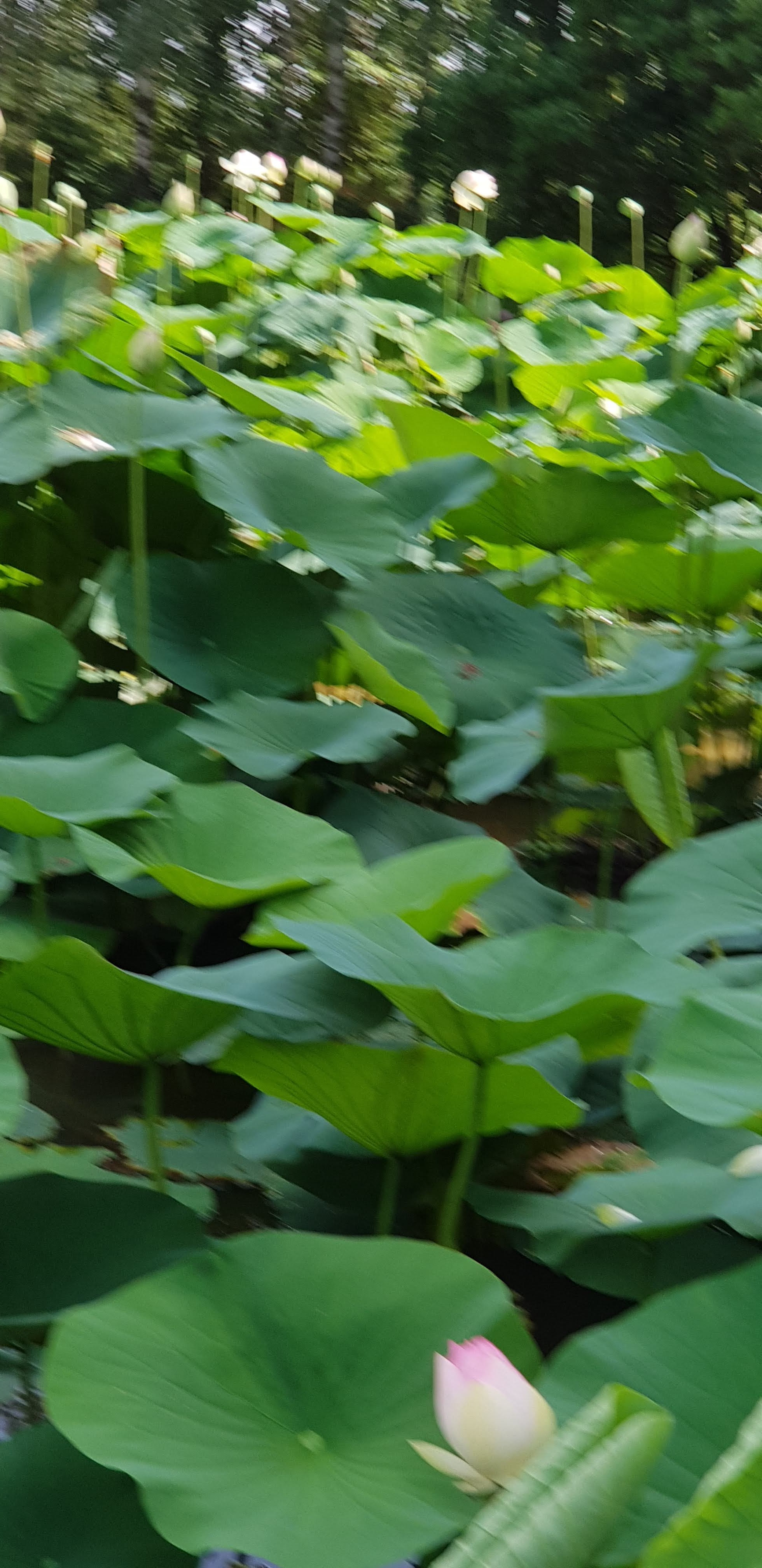 Photo n° 16 de l'avis de jean-marc.e fait le 27/08/2020 à 18:12