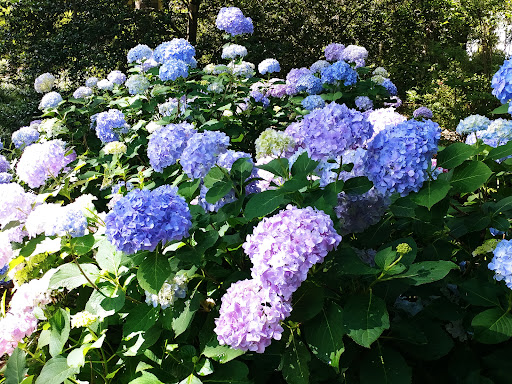 Garden «Bok Tower Gardens», reviews and photos, 1151 Tower Blvd, Lake Wales, FL 33853, USA