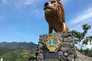 Lion's Park Viewing Deck image