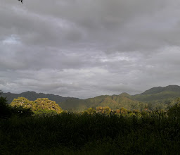 Andador Fluvial photo